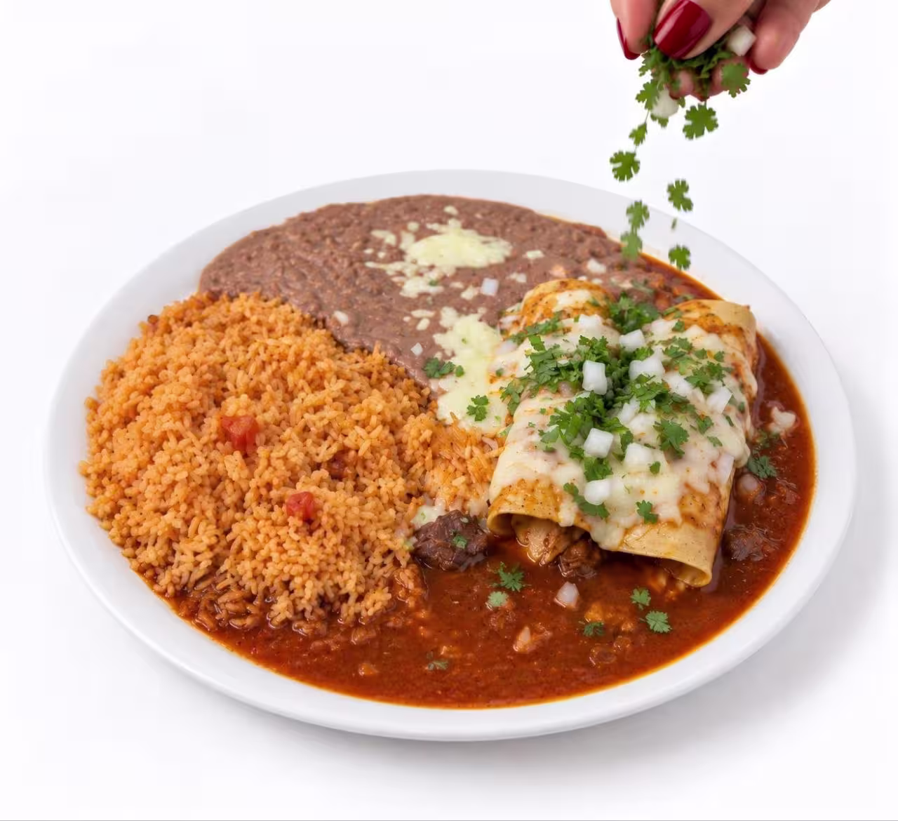 BIRRIA ENCHILADAS